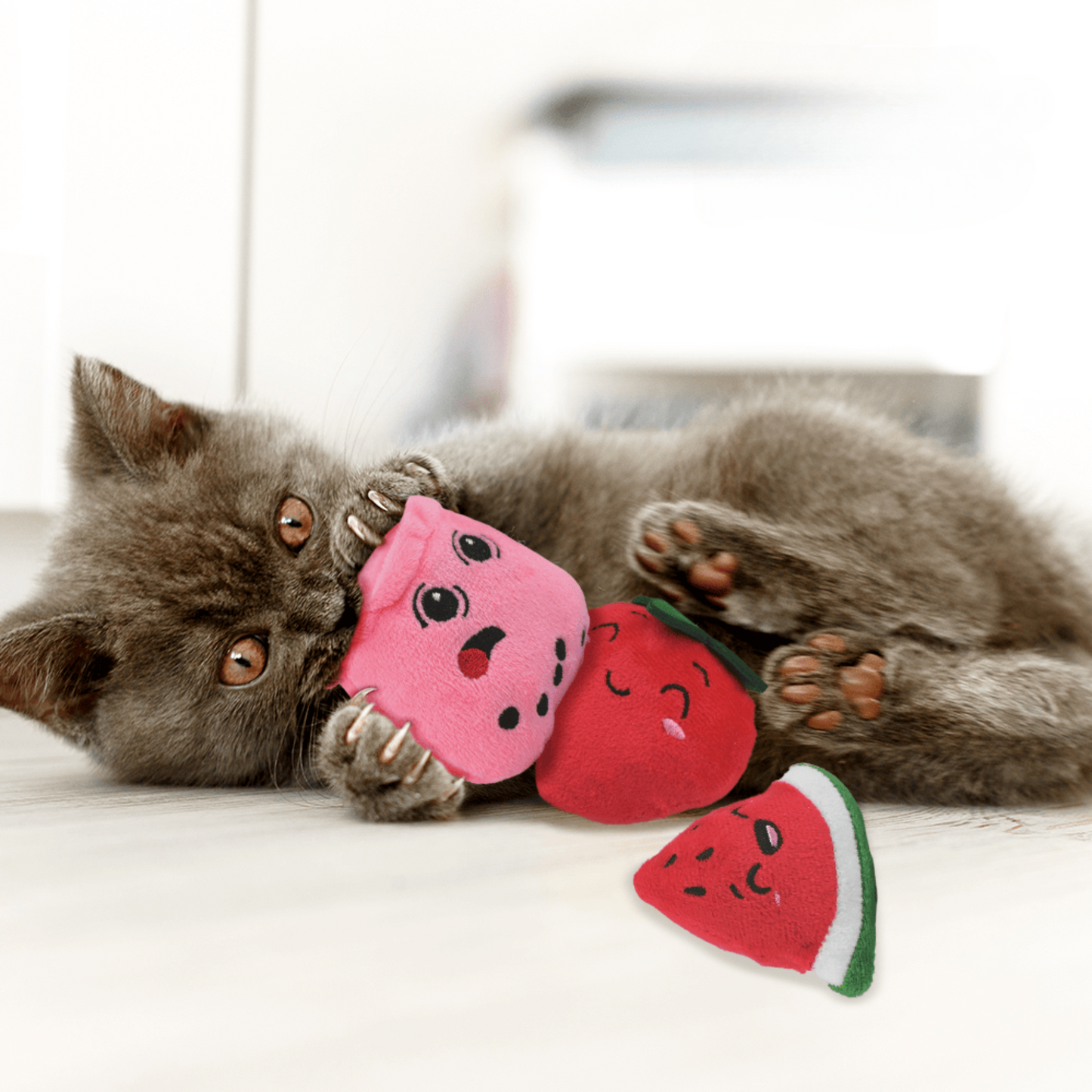 Pack de 3 juguetes para gato de frutas exóticas