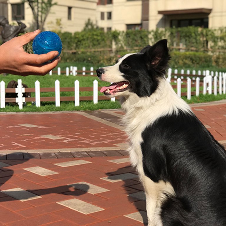 Pelota traslucida con textura