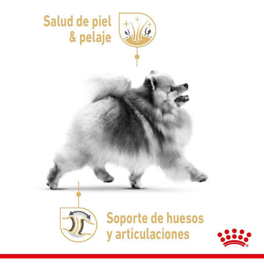 Royal Canin Pomeranian Adulto