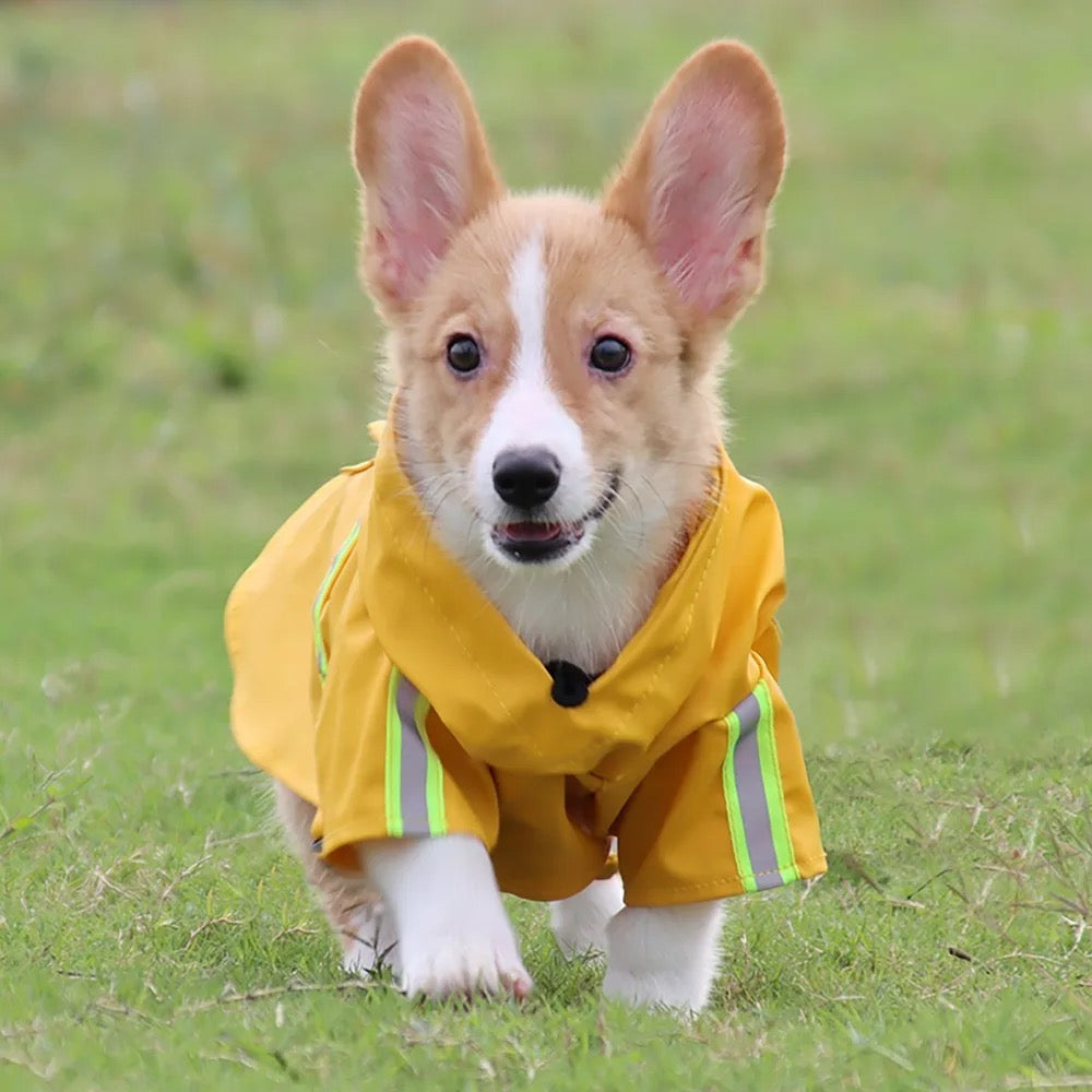 Impermeable con capucha