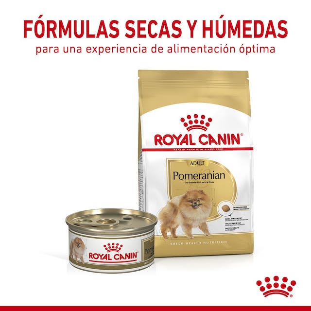 Royal Canin Pomeranian Loaf in Sauce lata