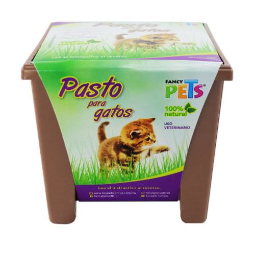 Pasto para gatos