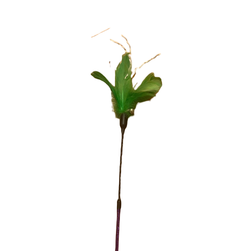 Vara de plumas