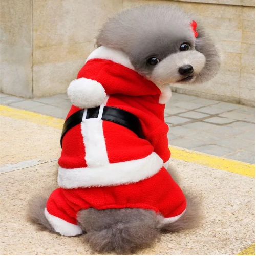 Traje de Santa Claus con cinturón