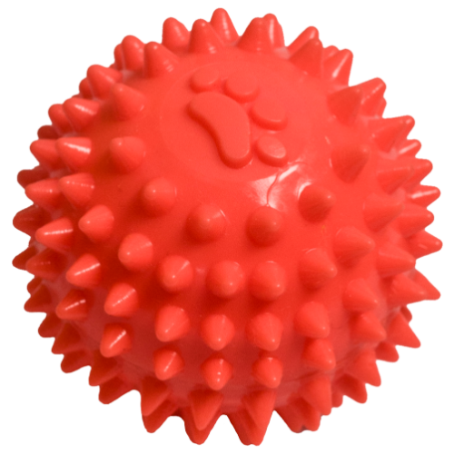 Pelota de caucho spiny