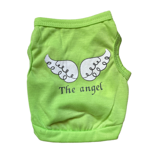 Camiseta The Angel