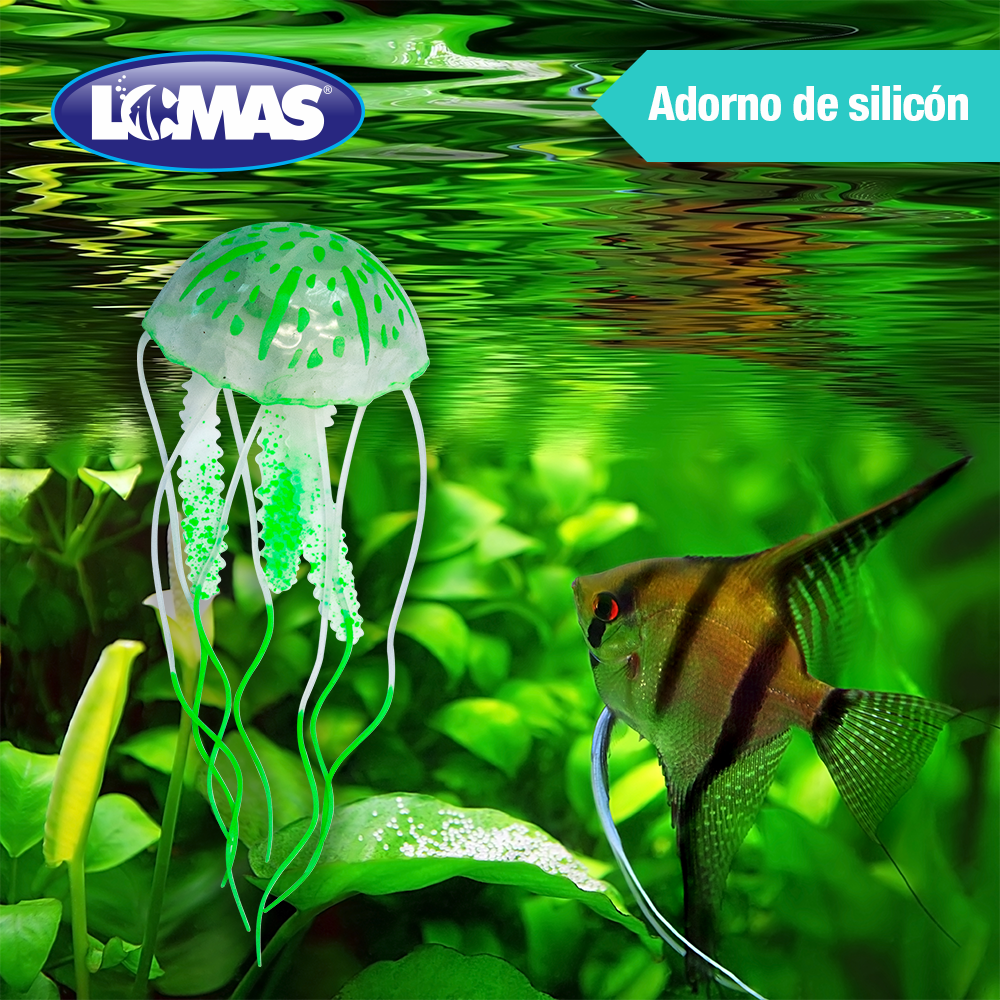 Medusa fluorescente