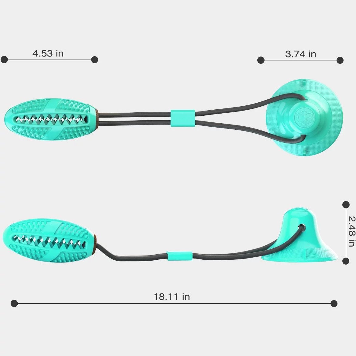 Molar bite interactivo para premios