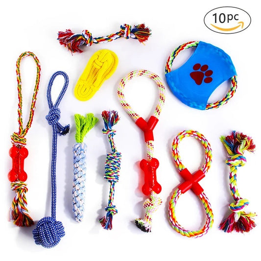 Set de 10 juguetes para perro