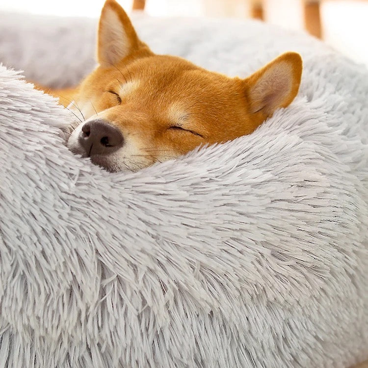 Cama relajante con cierre