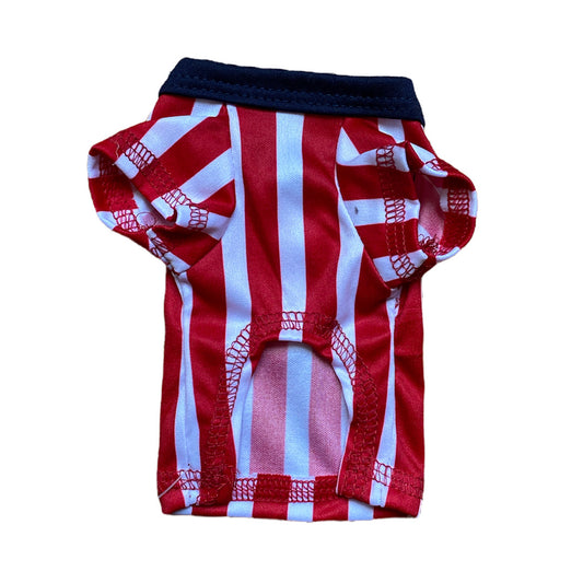 Camiseta chivas